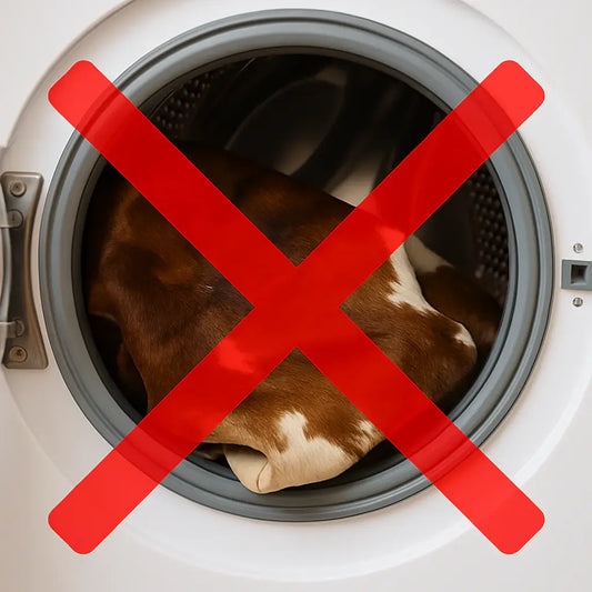 Can You Wash a Cowhide Rug in the Washing Machine?
